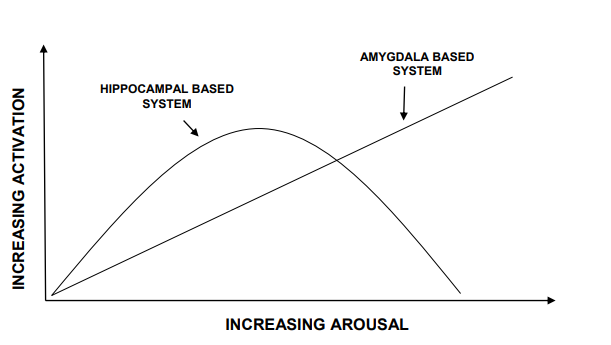 Line graph showing the amygdala going in a straight diagonal line and the hippocampus rising and then falling in an arc intersecting the amygdala line.