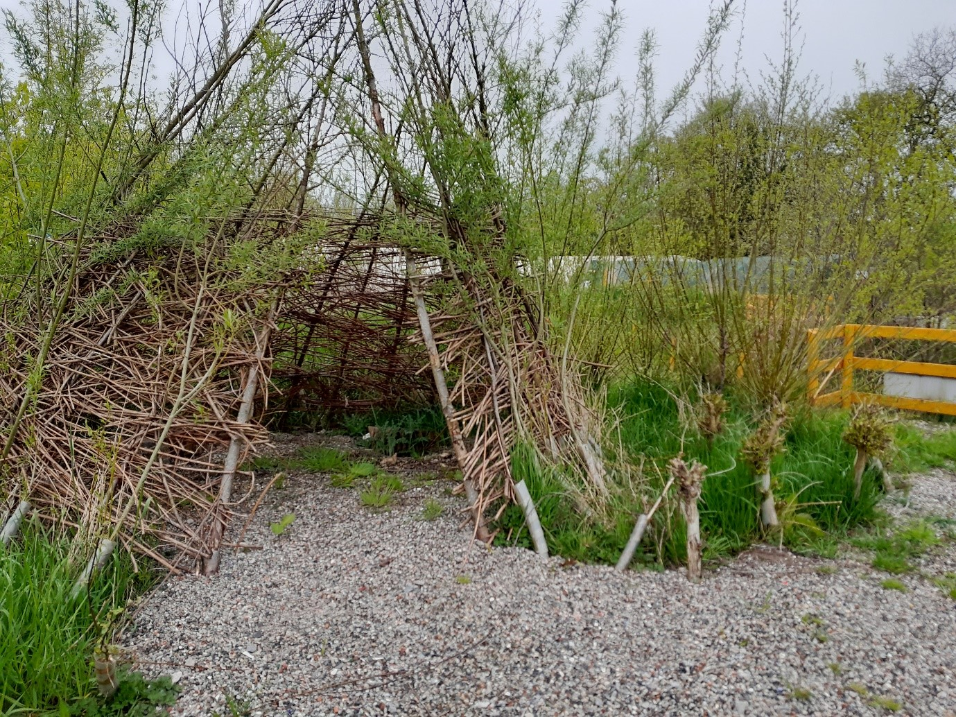 Green space in Lancashire .jpg