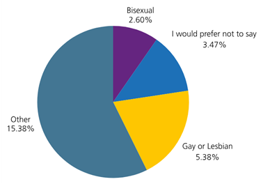 Pie chart showing the distribution of sexual orientations of those who experienced unwanted sexual behaviour from colleagues during 2024 and 2025. 