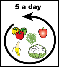 illustration of fruit and veg