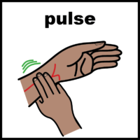 illustration of taking a pulse on the wrist