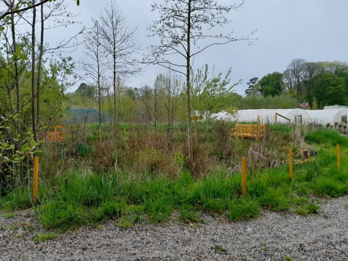 Green grass in Lancashire .jpg